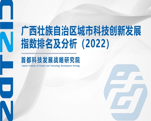 大鸡巴干大逼【成果发布】广西壮族自治区城市科技创新发展指数排名及分析（2022）